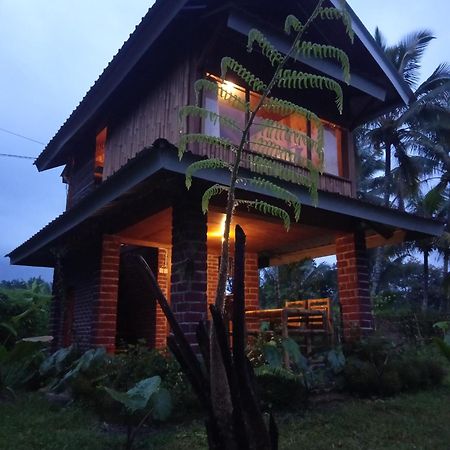 Coconut Homestay Tetebatu Zewnętrze zdjęcie