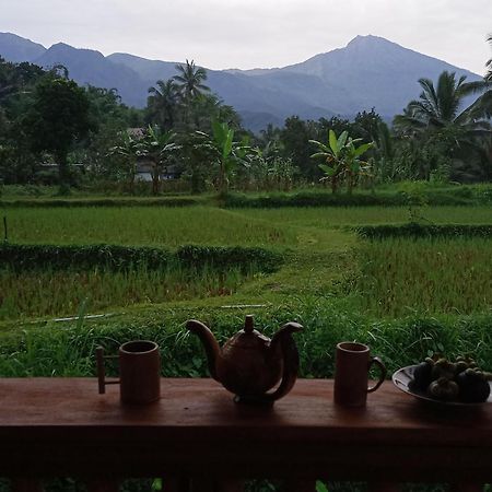 Coconut Homestay Tetebatu Zewnętrze zdjęcie