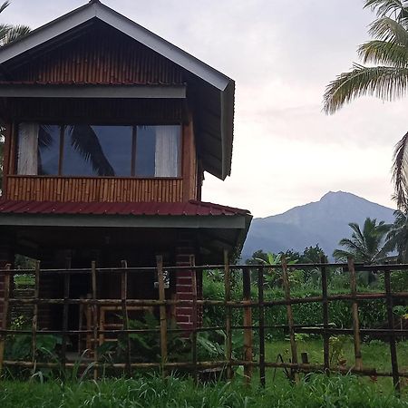 Coconut Homestay Tetebatu Zewnętrze zdjęcie
