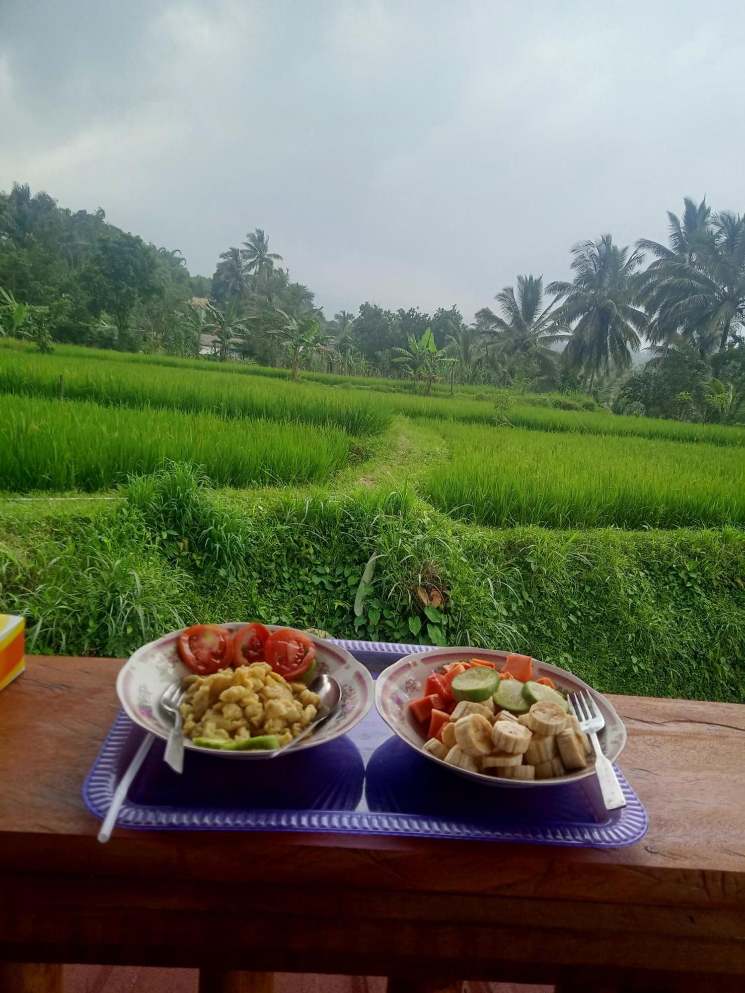 Coconut Homestay Tetebatu Zewnętrze zdjęcie