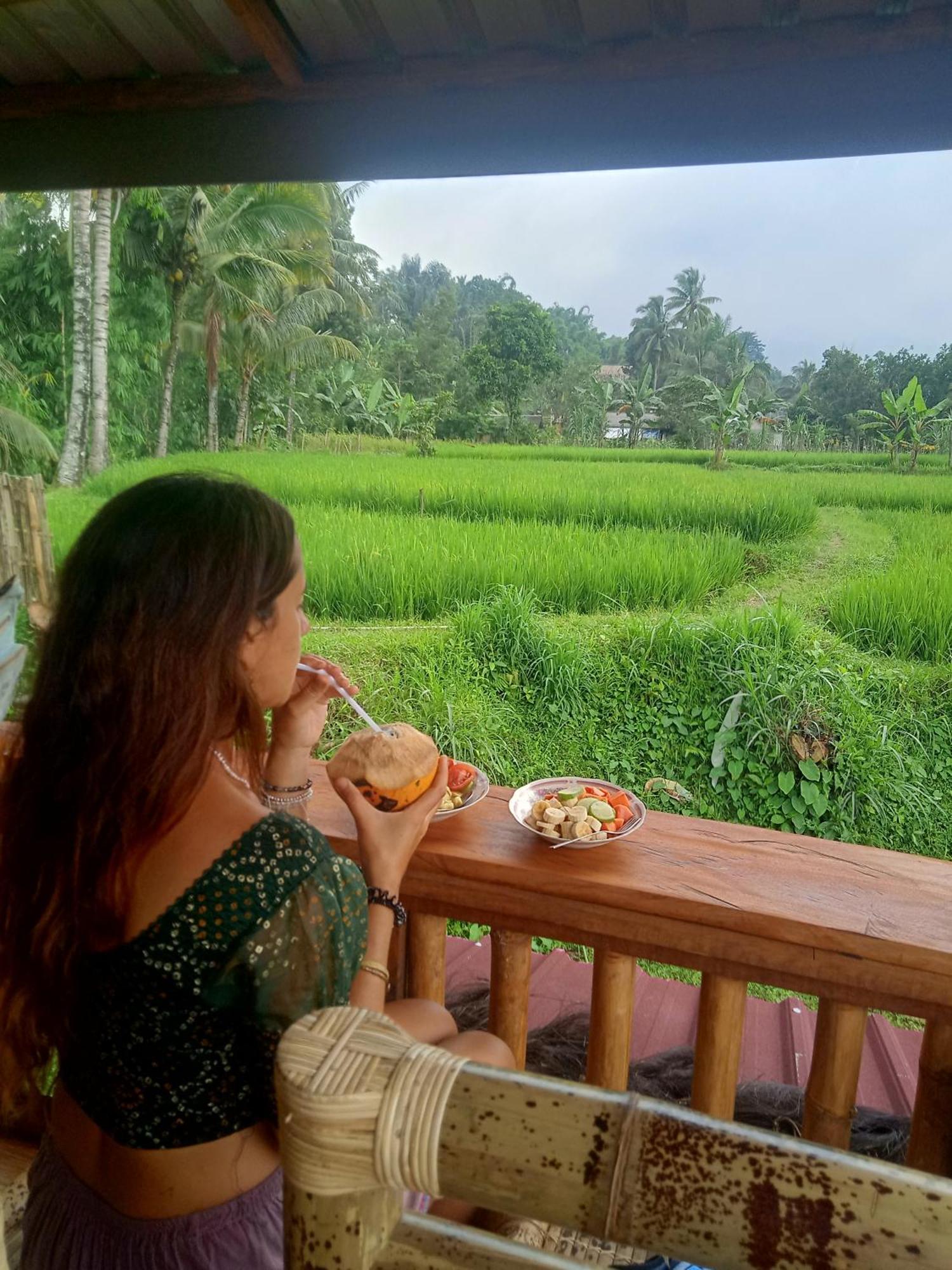 Coconut Homestay Tetebatu Zewnętrze zdjęcie