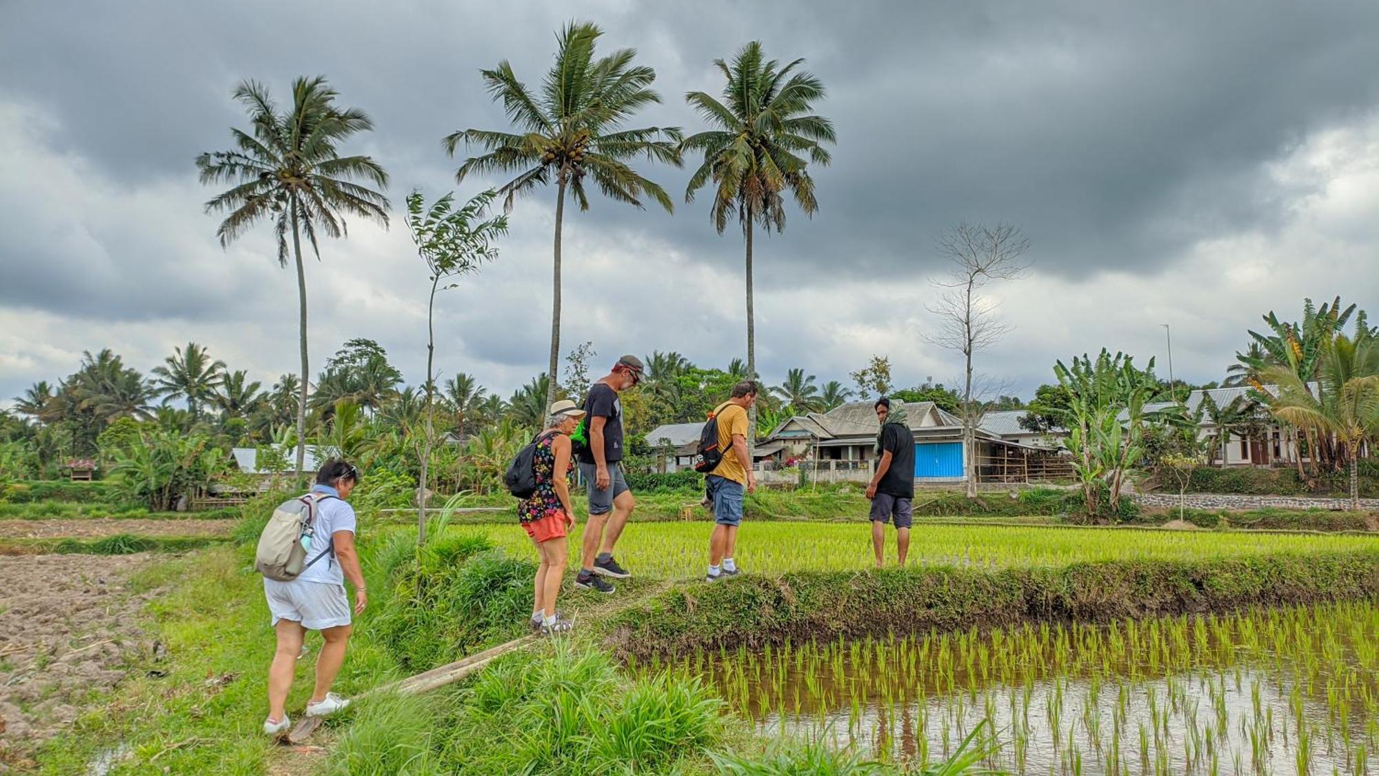 Coconut Homestay Tetebatu Zewnętrze zdjęcie