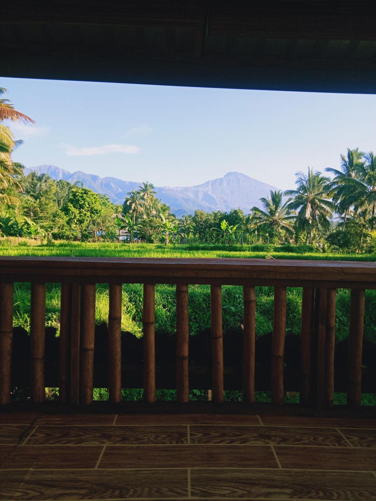 Coconut Homestay Tetebatu Zewnętrze zdjęcie