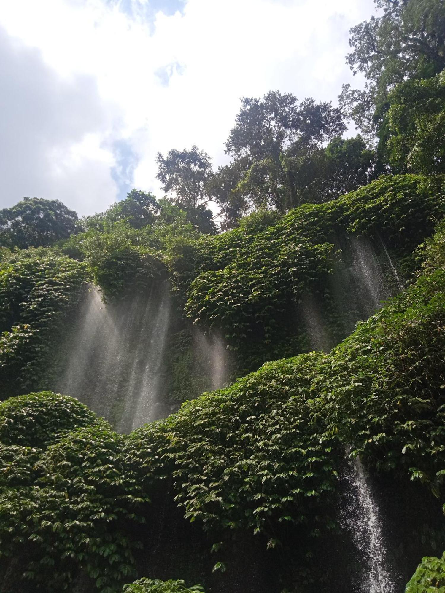 Coconut Homestay Tetebatu Zewnętrze zdjęcie