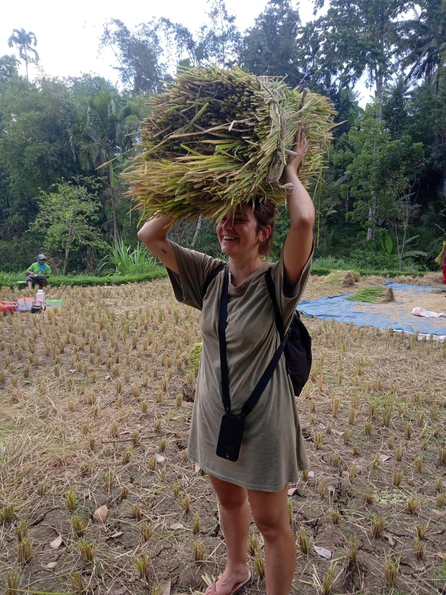 Coconut Homestay Tetebatu Zewnętrze zdjęcie