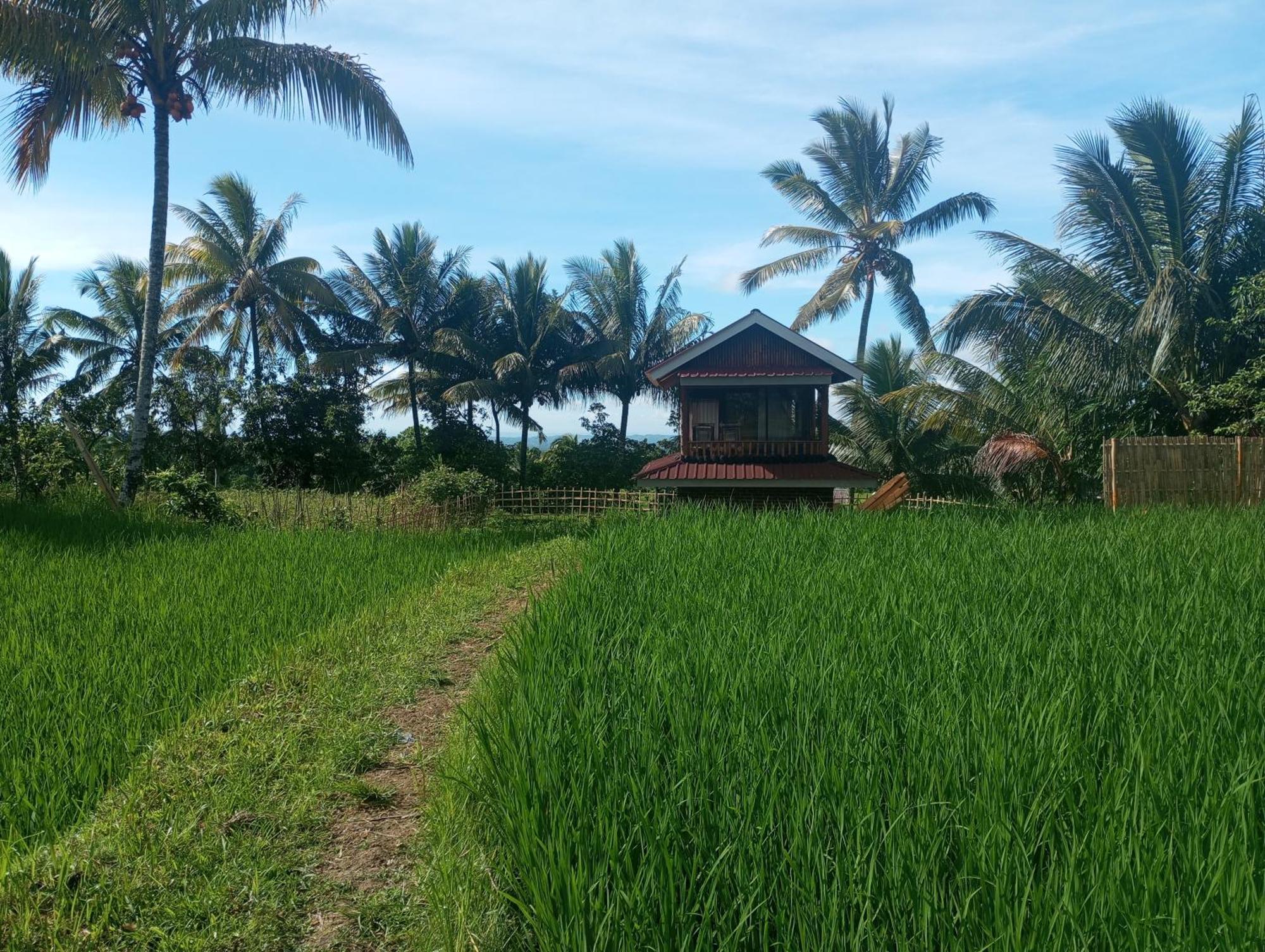 Coconut Homestay Tetebatu Zewnętrze zdjęcie