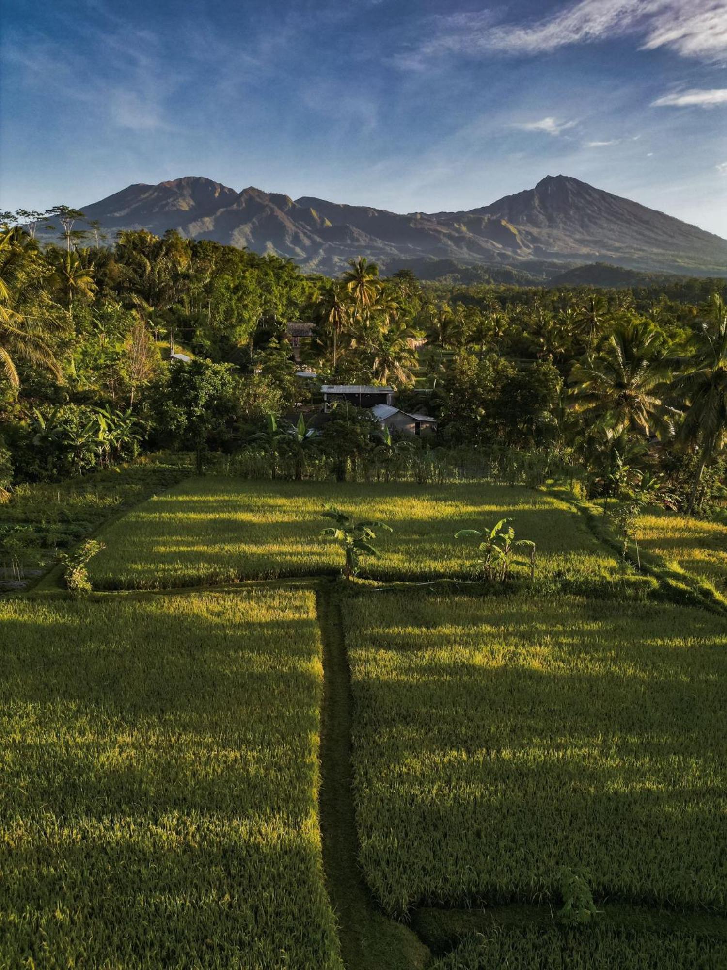 Coconut Homestay Tetebatu Zewnętrze zdjęcie