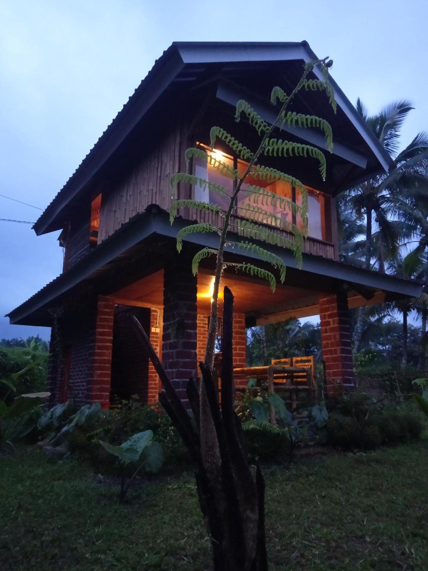 Coconut Homestay Tetebatu Zewnętrze zdjęcie
