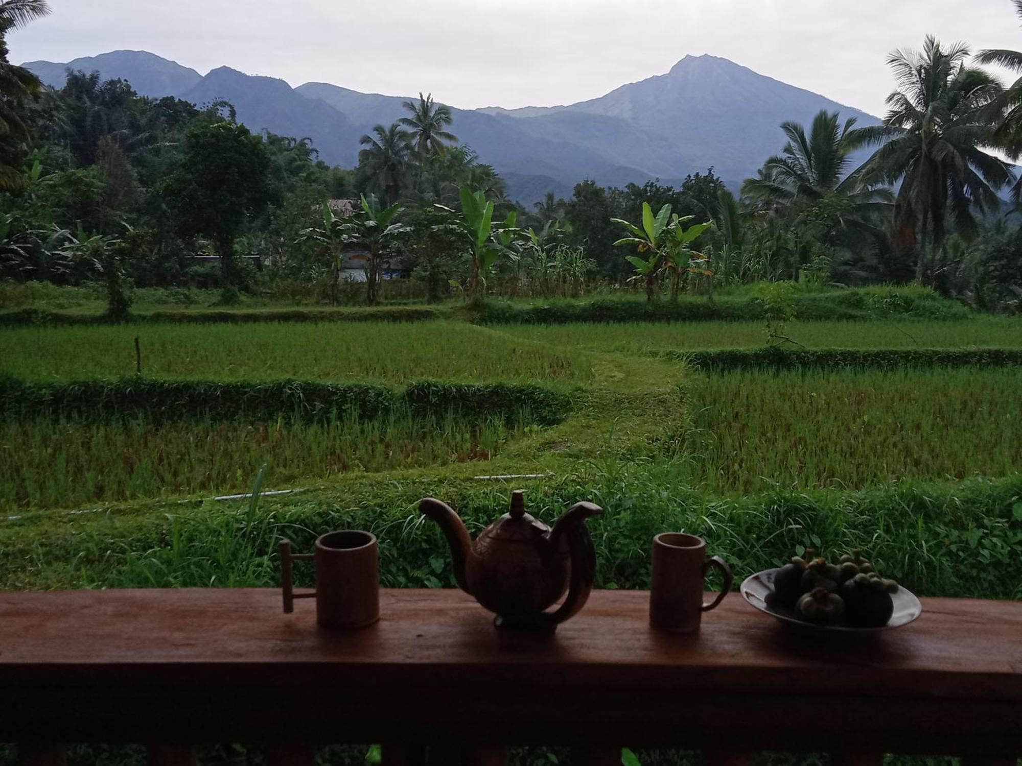 Coconut Homestay Tetebatu Zewnętrze zdjęcie